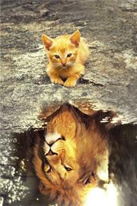 Cats Notebook 01