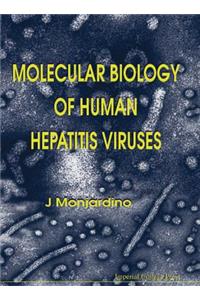 Molecular Biology of Human Hepatitis Viruses