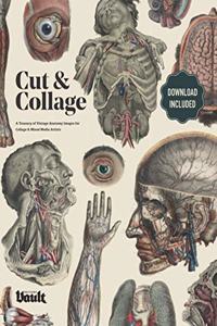 Cut and Collage A Treasury of Vintage Anatomy Images for Collage and Mixed Media Artists