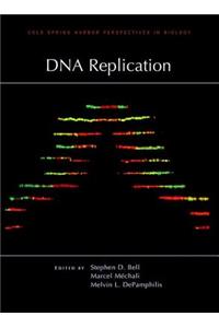 DNA Replication