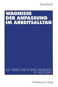 Wagnisse Der Anpassung Im Arbeitsalltag: Ich, Selbst Und Soziale Handlung in Fallstudien