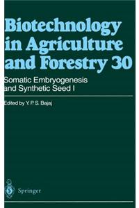 Somatic Embryogenesis and Synthetic Seed I