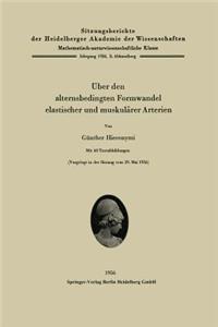 Über den alternsbedingten Formwandel elastischer und muskulärer Arterien