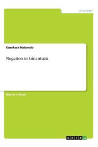 Negation in Ginantuzu