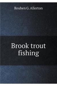 Brook Trout Fishing