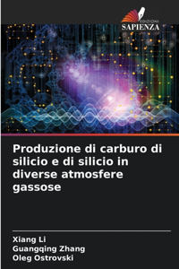Produzione di carburo di silicio e di silicio in diverse atmosfere gassose