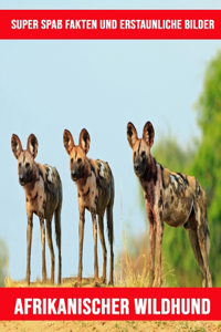 Afrikanischer Wildhund: Super Spaß Fakten und erstaunliche Bilder