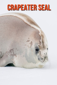 Crapeater Seal