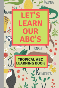 Let's Learn Our ABC's Child Learning Alphabet Book