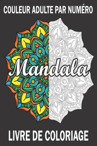 Couleur Adulte Par Numéro Mandala Livre De Coloriage