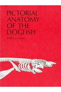 Pictorial Anatomy of the Dogfish
