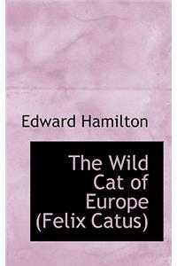Wild Cat of Europe (Felix Catus)