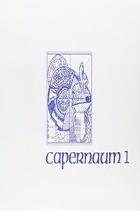 Excavations at Capernaum