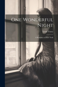One Wonderful Night