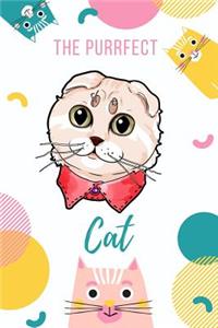Purrfect Cat