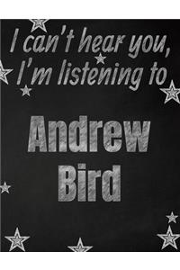 I can't hear you, I'm listening to Andrew Bird creative writing lined notebook