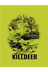 Killdeer