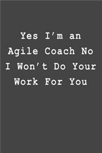 Yes I'm an Agile Coach No I Won't Do Your Work For You