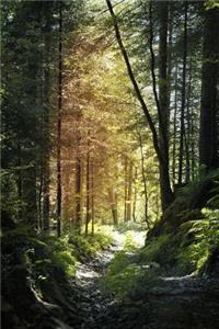 Nature notebook - best notebook with quotes, perfect 120 lined pages #6
