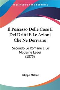 Possesso Delle Cose E Dei Dritti E Le Azioni Che Ne Derivano