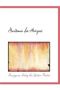 Anatomie Des Herzens