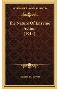 The Nature of Enzyme Action (1914)