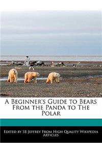 A Beginner's Guide to Bears from the Panda to the Polar