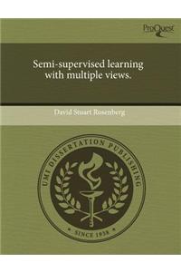 Semi-Supervised Learning with Multiple Views