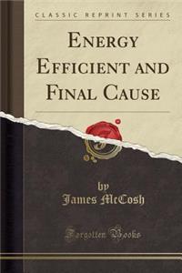 Energy Efficient and Final Cause (Classic Reprint)