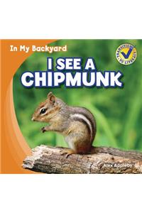 I See a Chipmunk