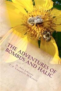 Adventures of Bombus and Halic