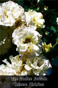 The Pauline Formula Induere Christum