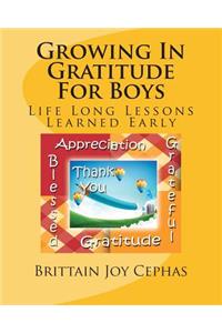 Growing In Gratitude For Boys