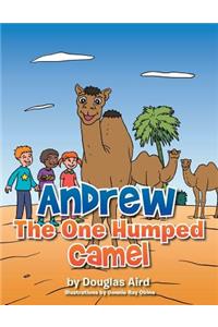 Andrew The One Humped Camel