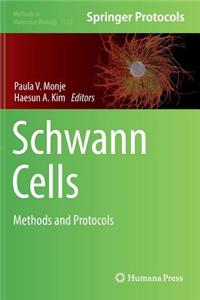 Schwann Cells