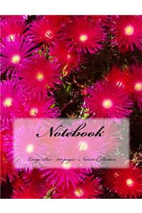Notebook - Large Size - 100 pages - Nature Collection