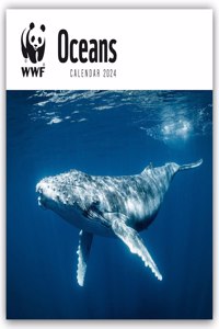2024 Wwf Oceans Plastic Free Wall