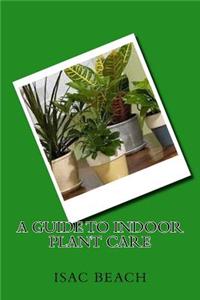 A Guide to Indoor Plant Care