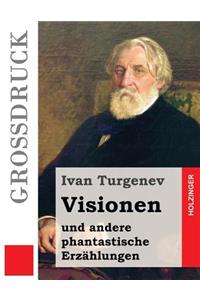 Visionen und andere phantastische Erzählungen (Großdruck)