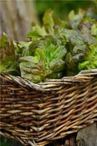 Leaf Lettuce in a Basket Journal