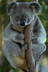 Mellow Koala in a Tree Journal