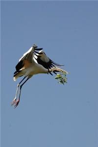 Wood Stork in Flight Bird Journal
