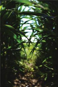 Cornfield Path Notebook