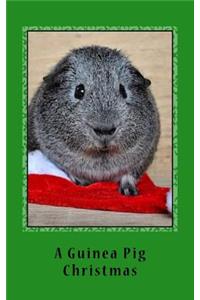 A Guinea Pig Christmas
