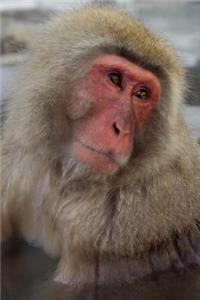 A Japanese Snow Monkey Looking Up at You Journal