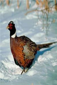 Journal Winter Fowl Snow