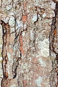 Old Oak Tree Bark Journal