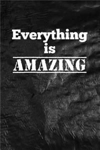 Everything is amazing