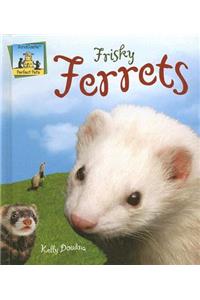 Frisky Ferrets