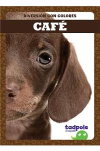 Cafe (Brown)
